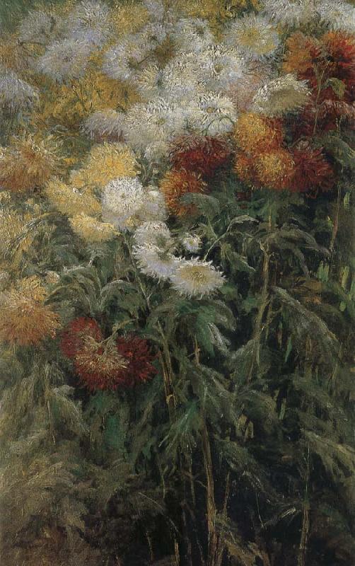 Gustave Caillebotte The chrysanthemum in the garden oil painting image